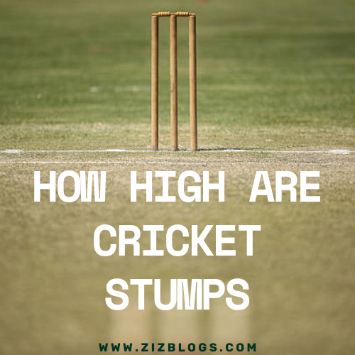 How high are cricket stumps